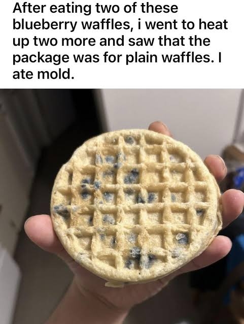 1778965767915.jpeg