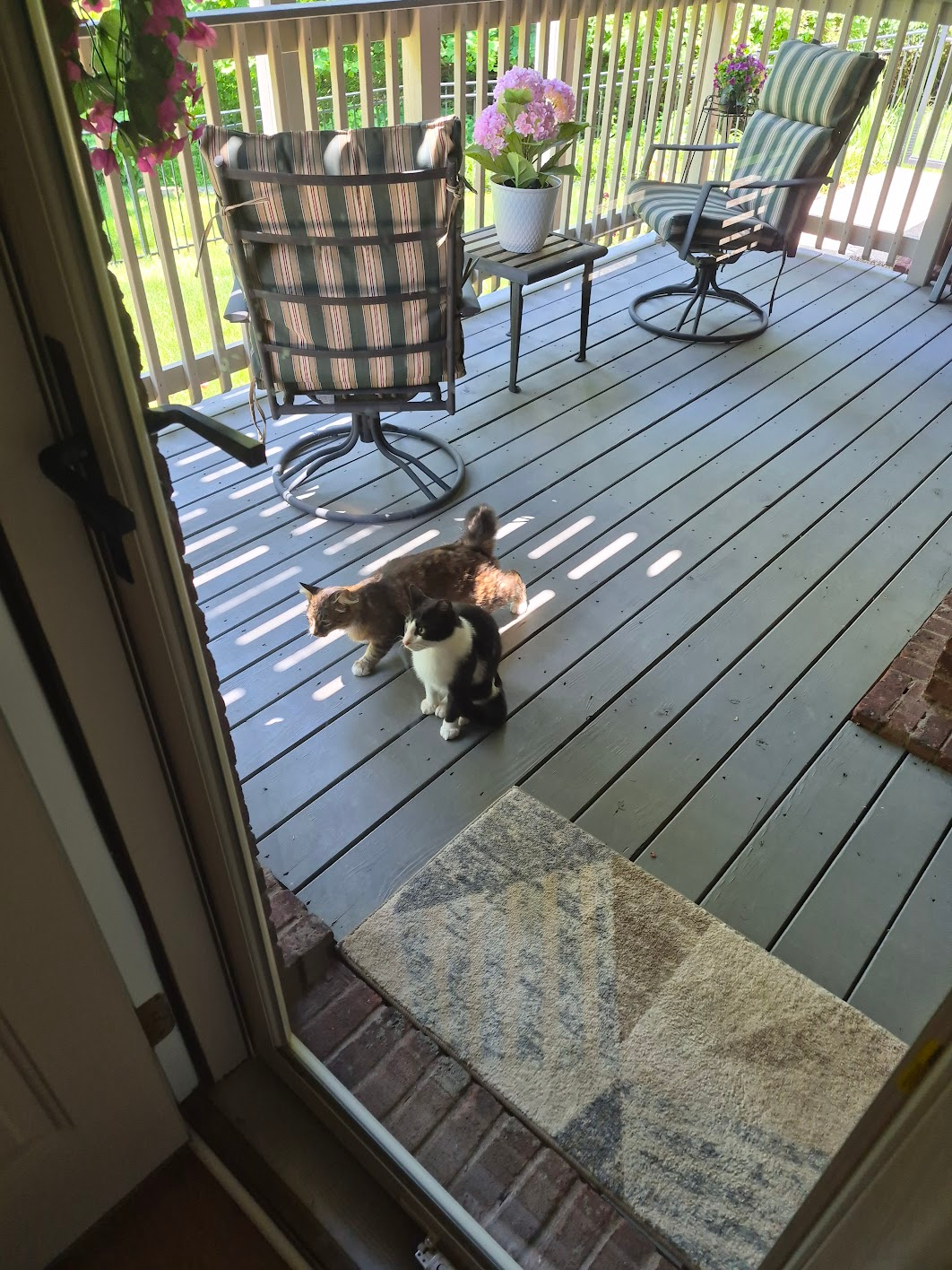 1780592600940.png