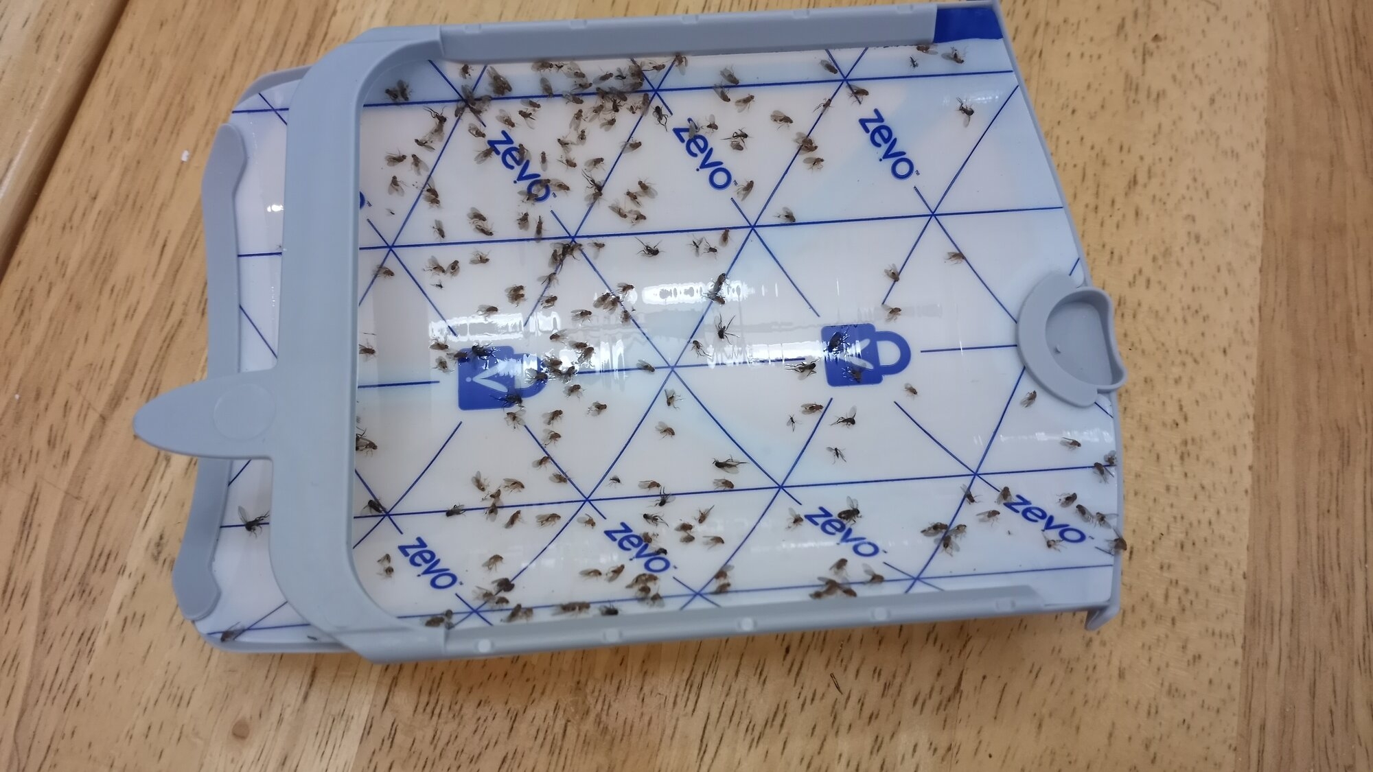 1781980631022.jpeg