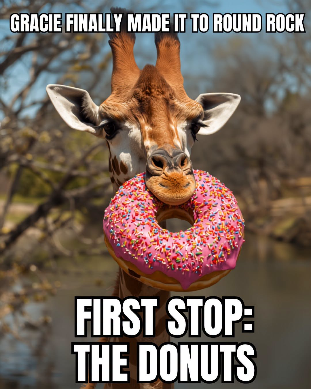 1782509191478.png