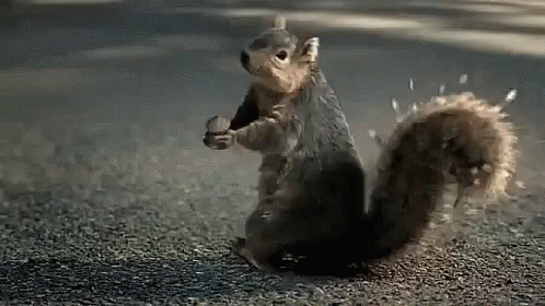 1783136304587.gif