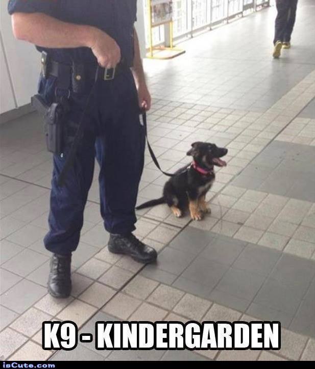 17D99516-41A8-435C-BA57-FF9E1B0F1179.jpeg