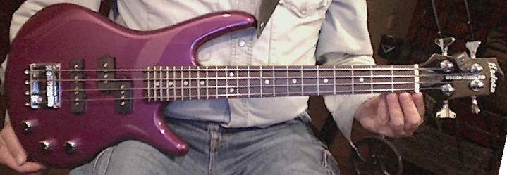 18 Ibanez mod.jpg