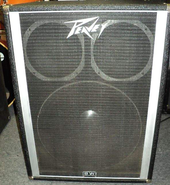 1810 Peavey Cab.JPG