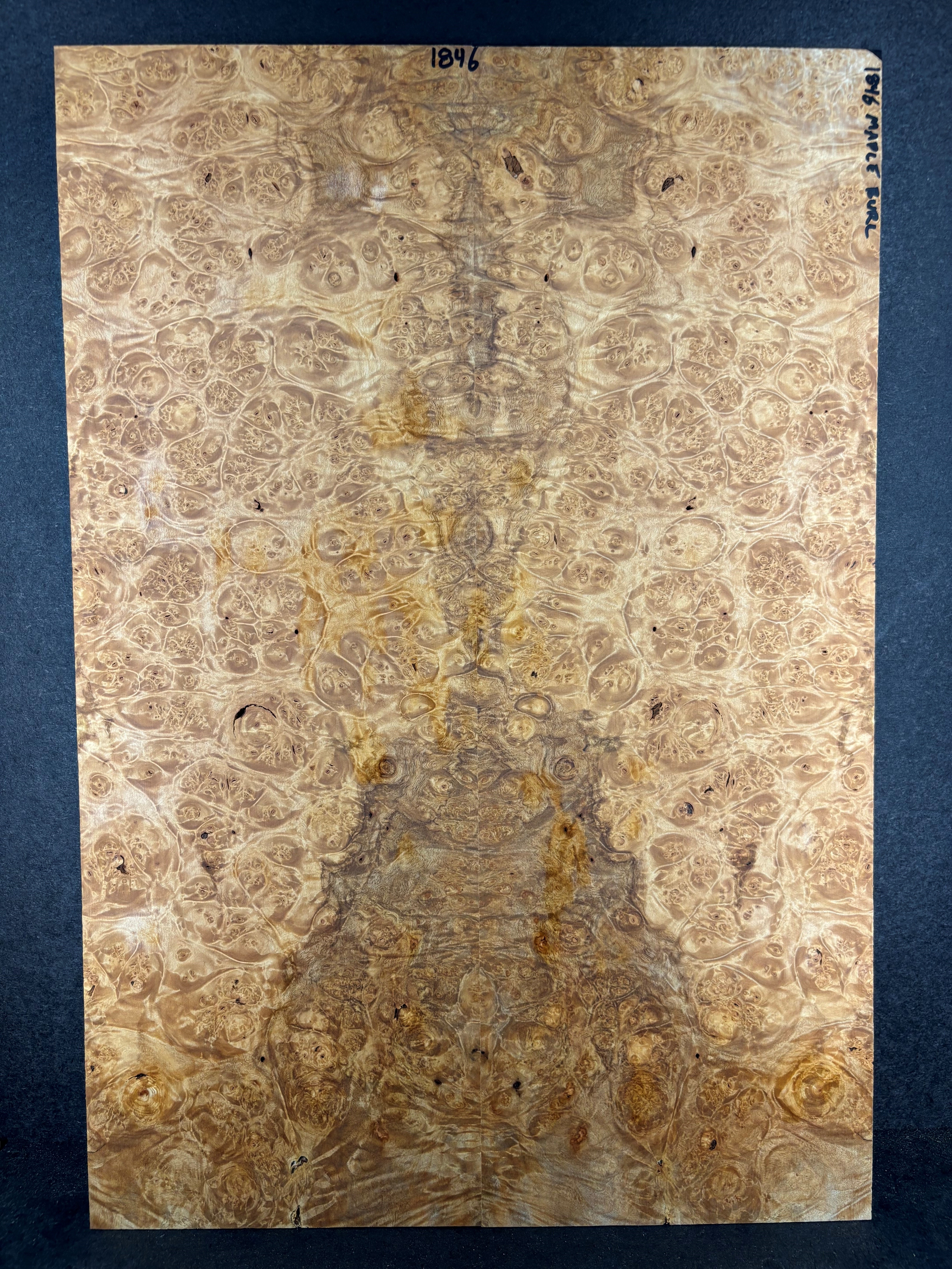 1846 Maple Burl.jpg
