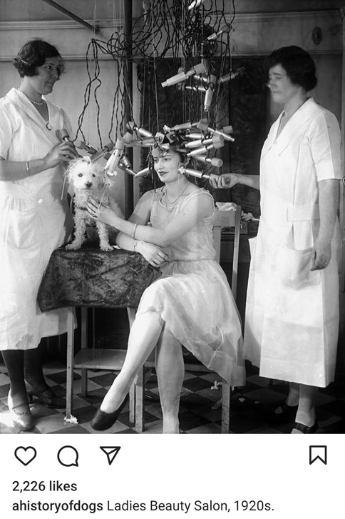 1920s dog.jpg