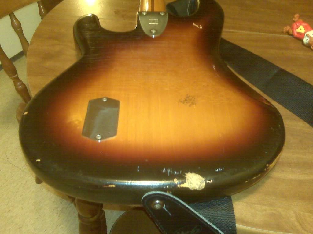 1979Sabreback.jpg