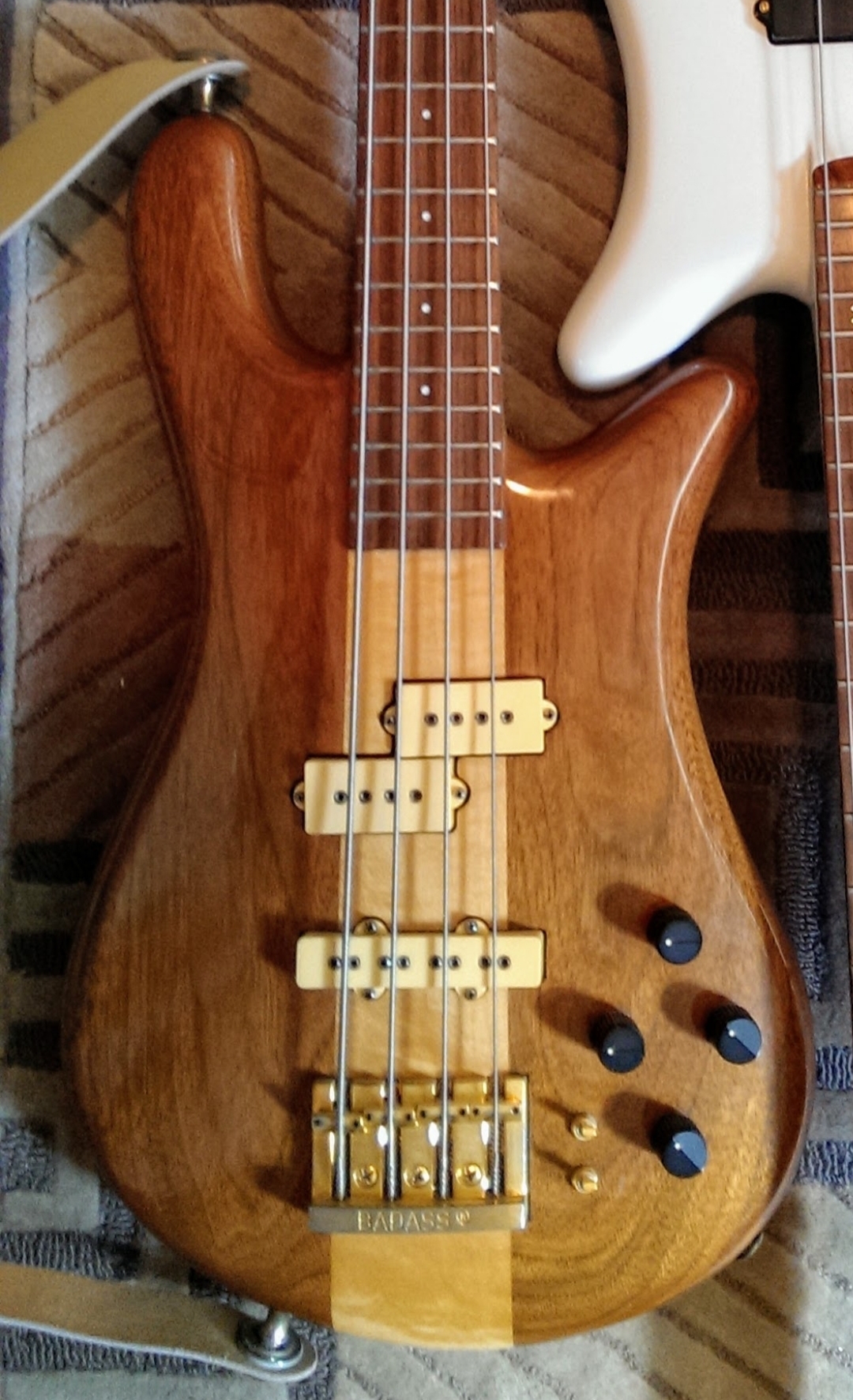 1979spectorns2.jpg