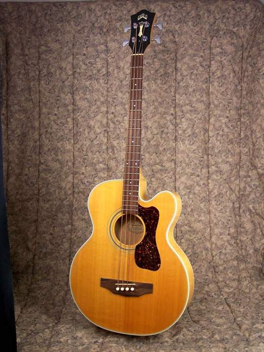 1993B_500.jpg