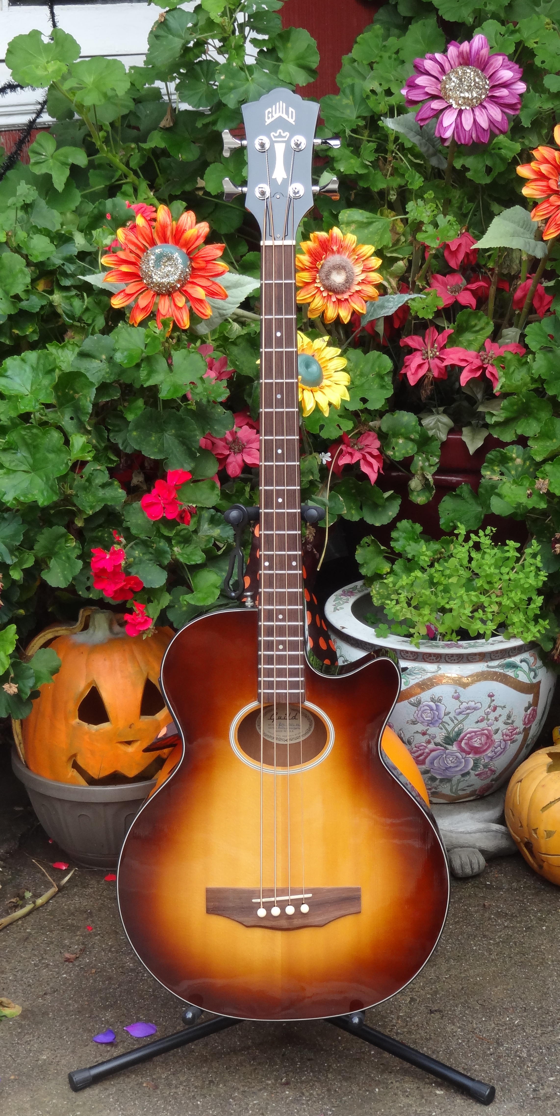 1998 Guild Bass-.jpg