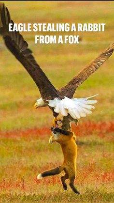 19EA1000-B430-44A1-8DA8-CA47AA921F15.jpeg
