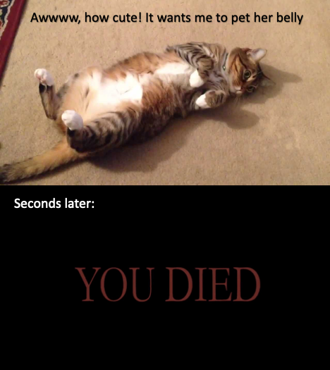 1A1C261B-89F4-40EC-9C4E-C0D12E80FEBF.png