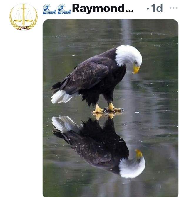 1A3E9498-A9A8-457D-ADAB-B394640CF350.jpeg