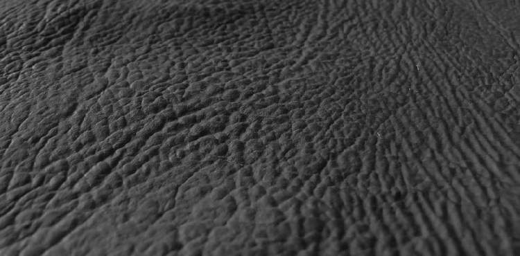 1AF97682-971B-49A1-B79A-5CCF6B207723.jpeg