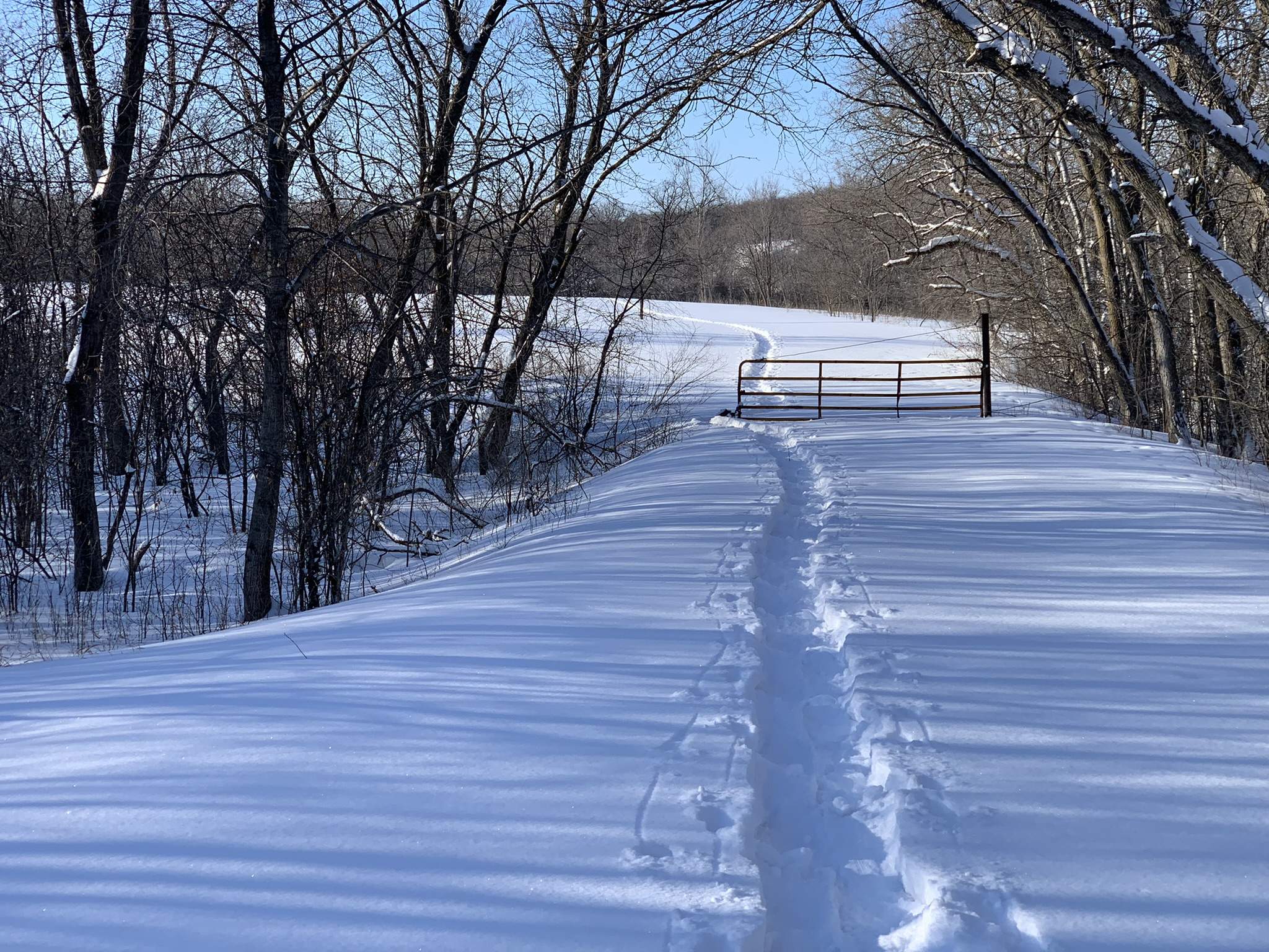 1B470563-539E-4698-99C7-BD13AB726515.jpeg