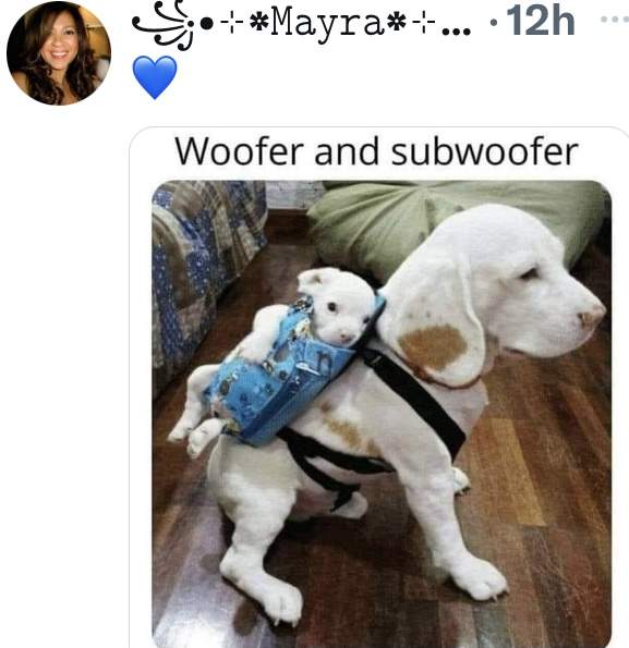1C599B0D-4C1D-4E66-9537-2ADAF9B46CEC.jpeg