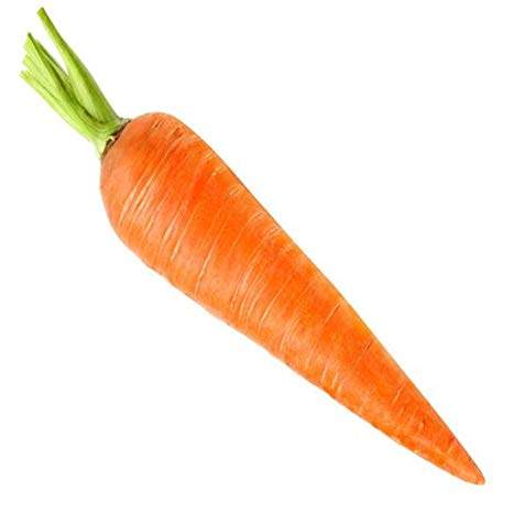 1carrot.jpg