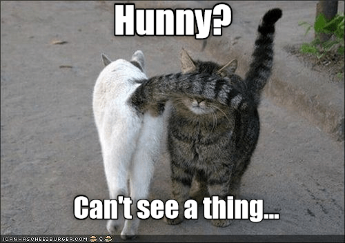 1D972F8C-0FBA-42F3-A605-99A9C1941F6F.png