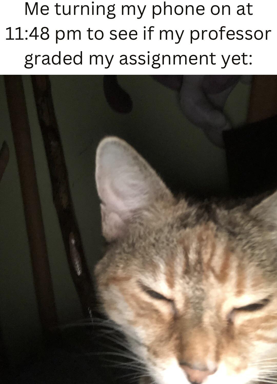 1DED1DEA-7F57-4BC8-8538-B5FF6E42F9B3.jpeg
