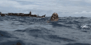 1dw6.gif