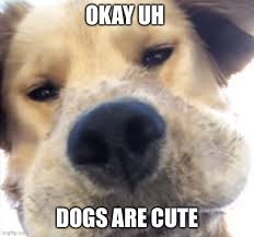 1F01A2EE-1ED2-49D4-84EE-41FC9198C66D.jpeg