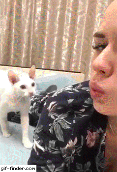 1f70c0403078adc3e5d1f242df63fdc3.gif