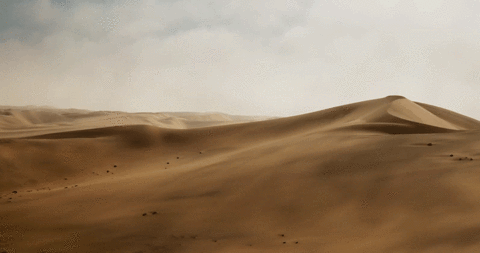 1ffd2db47bee362b3563f888958bb611.gif
