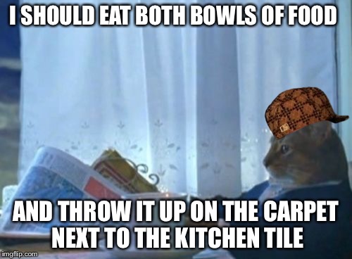 1lb5k1-2598874304.jpeg