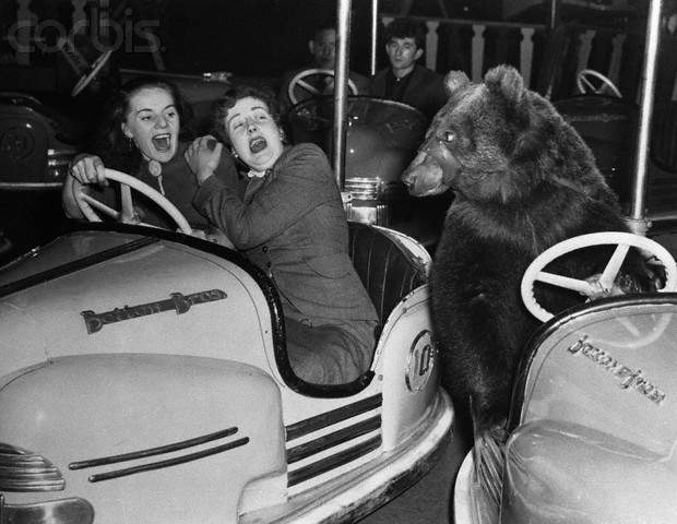 1vidBEAR.jpg