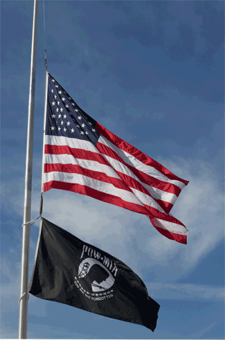 2-flags-4.gif