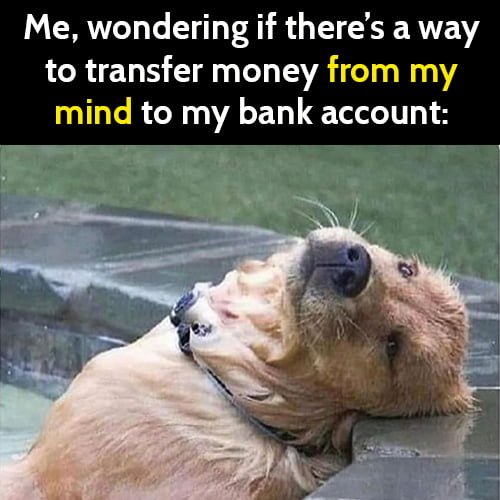 2-funny-dog-memes-2610489680-jpeg.5229558