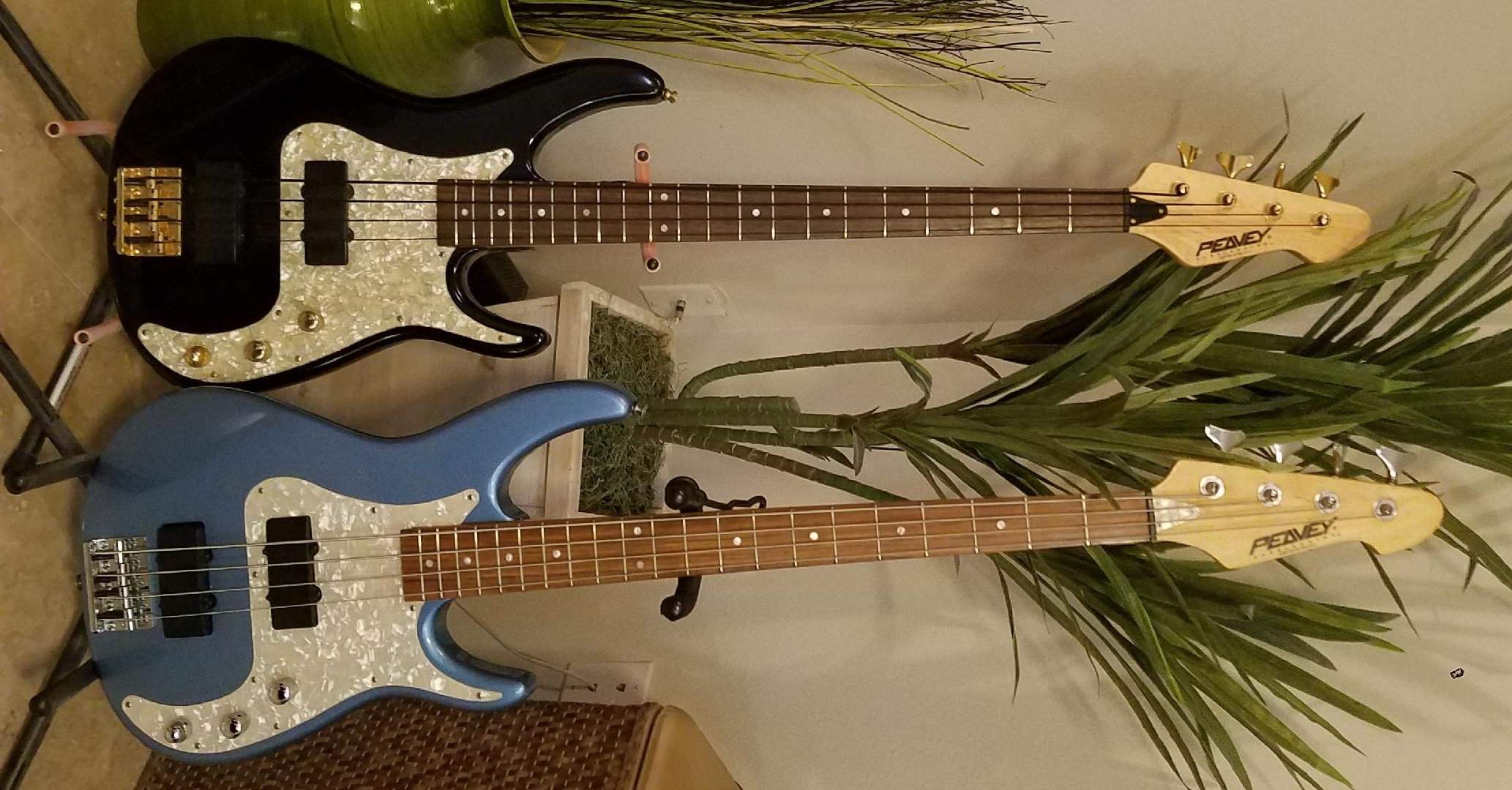 2 Peavey Axcelerators.jpg