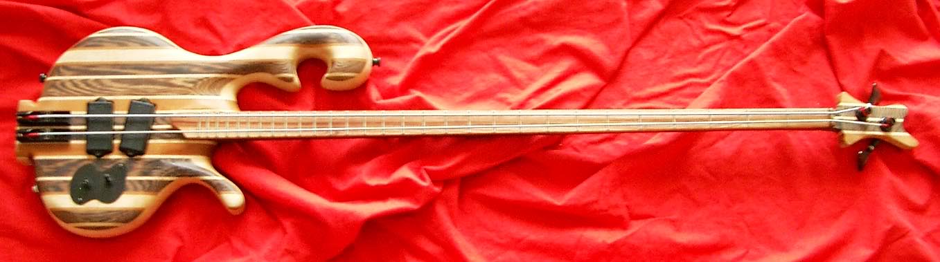 2-snaar.jpg