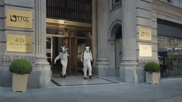 200 (10).gif