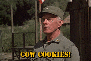 200-1827994553.gif