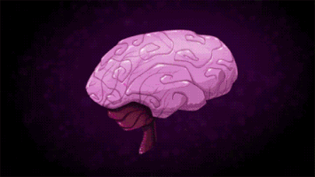 200.gif