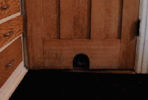 200.gif