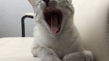 200.gif