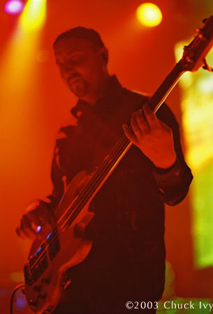 20030730-PTree-10.jpg