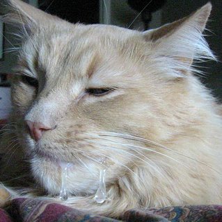 20060414_002webcrop.0.jpg