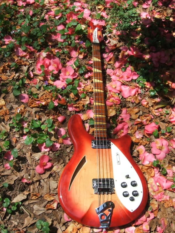 2006_0116basses20010.jpg
