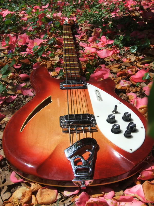 2006_0116basses20011.jpg