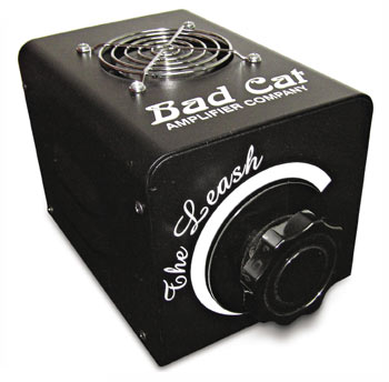 200802_badcat_1.jpg