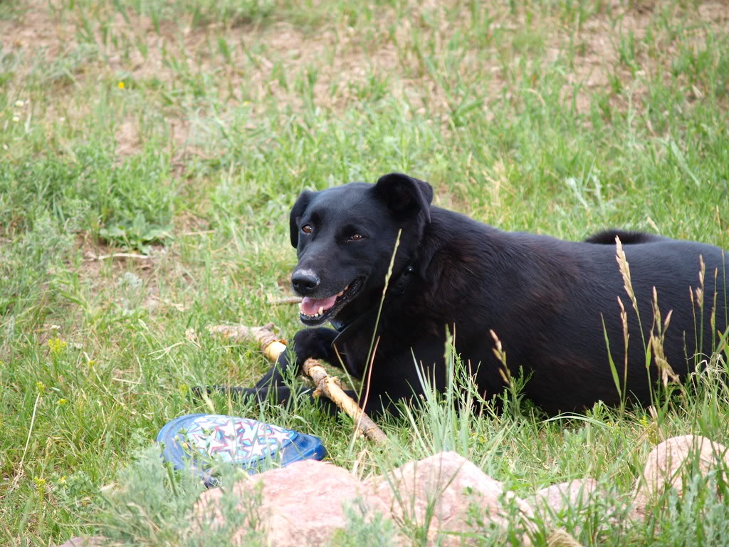 20080719_114.jpg