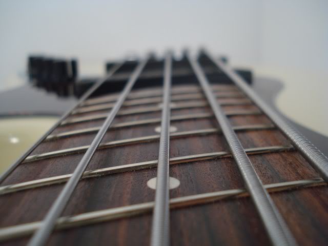 20090115-007SJ5Closeup.jpg