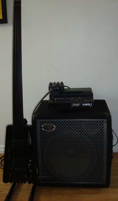 20090724Fretlessrig.jpg