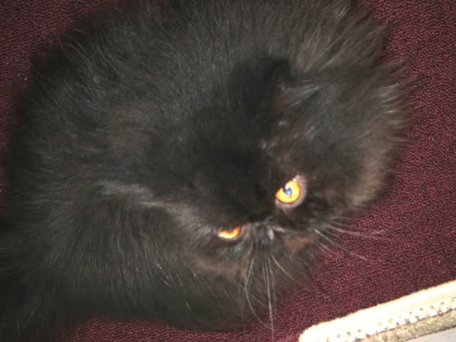 2009_1207003.jpg