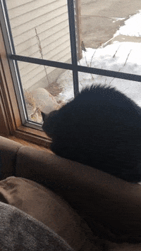 200w (4).gif