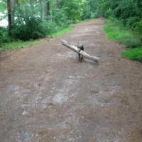 200w.gif