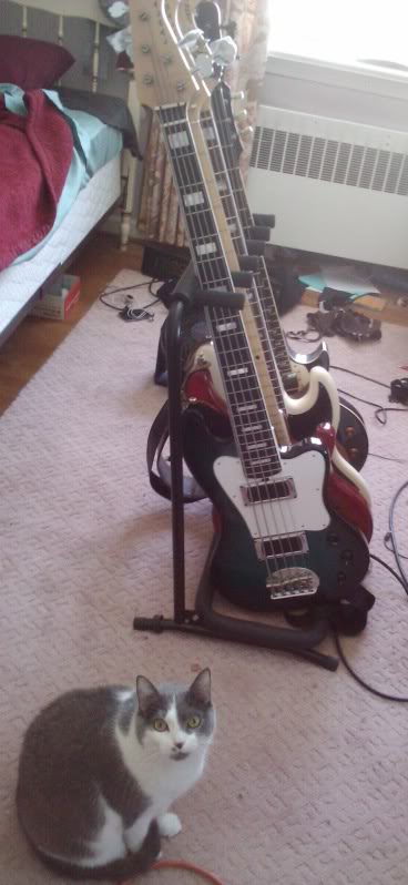 2011-01-24113923.jpg